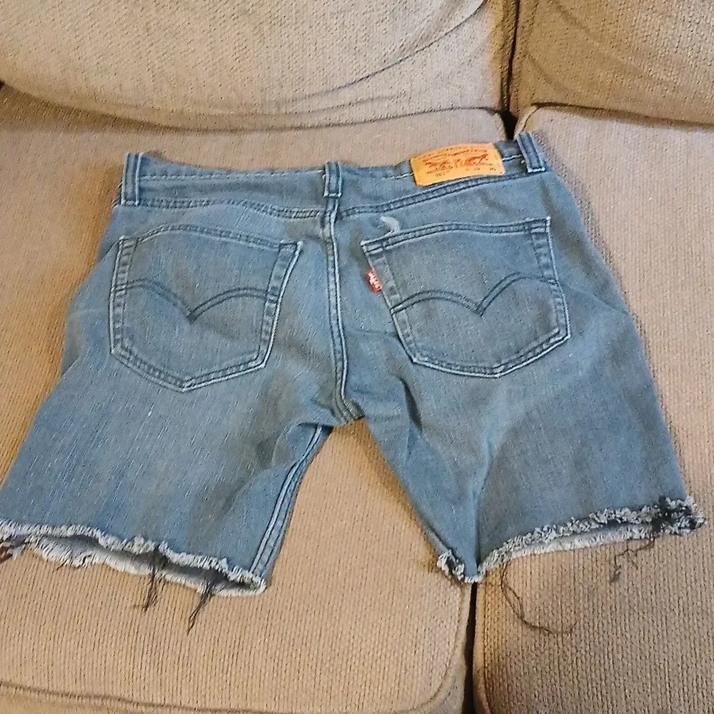 Men's Blue Denim Cutoff Shorts RL6